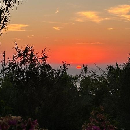 Villa Moma Giardino, Tennis E Piscina Panoramica 이스키아 외부 사진