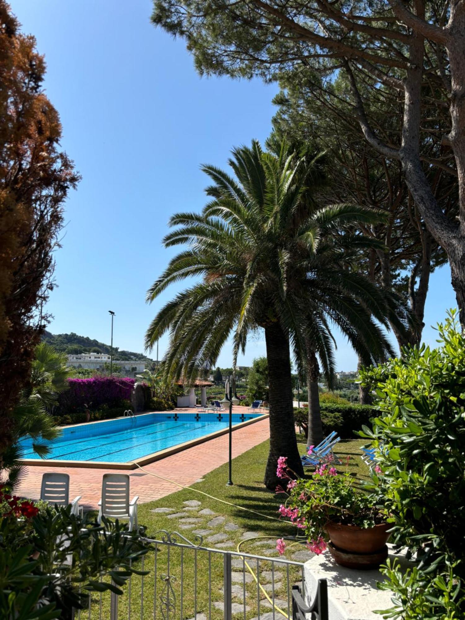 Villa Moma Giardino, Tennis E Piscina Panoramica 이스키아 외부 사진
